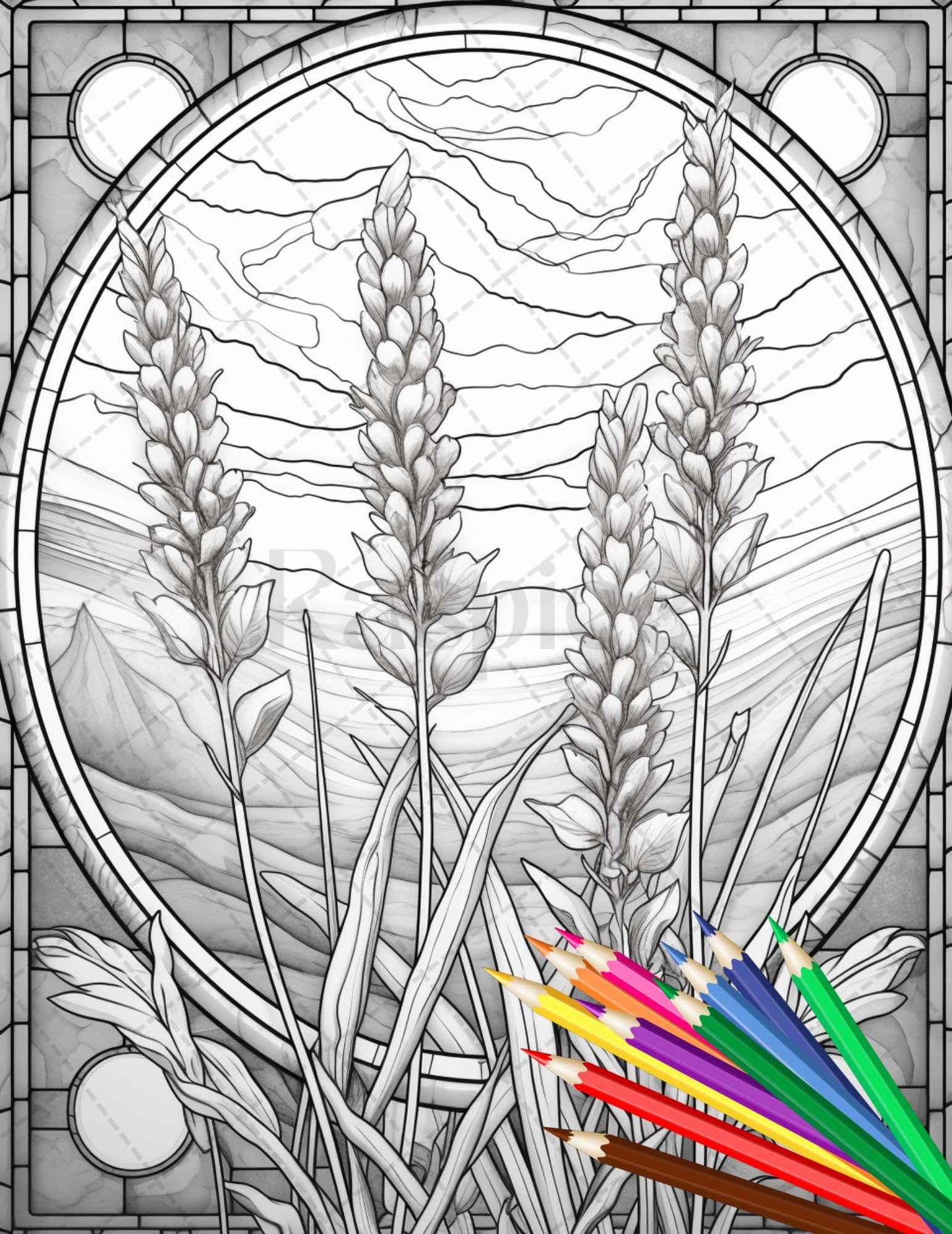 30 Stained Glass Flowers Grayscale Coloring Pages Printable for Adults, PDF File Instant Download