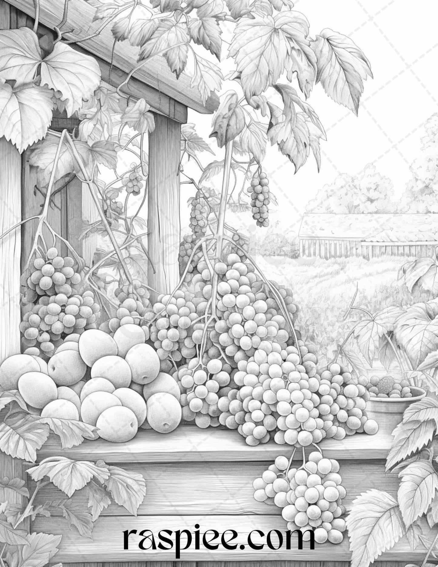 Relaxing Fruit Garden Grayscale Coloring Pages Printable for Adults, PDF File Instant Download