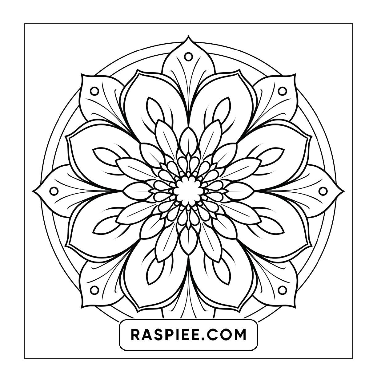 250 Mandala Adult Coloring Pages Vol.4