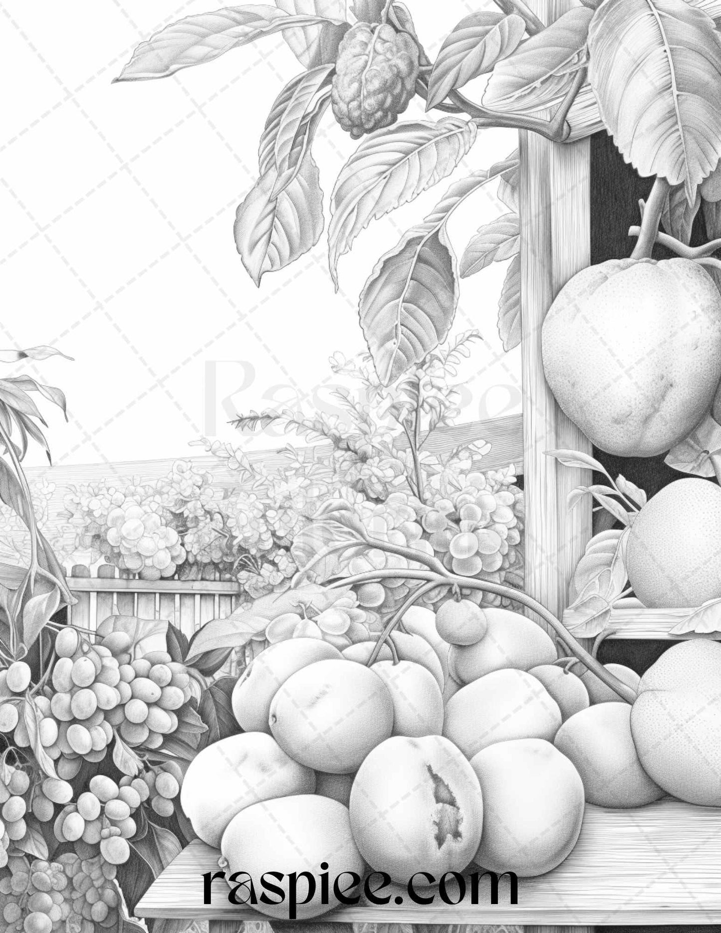 Relaxing Fruit Garden Grayscale Coloring Pages Printable for Adults, PDF File Instant Download