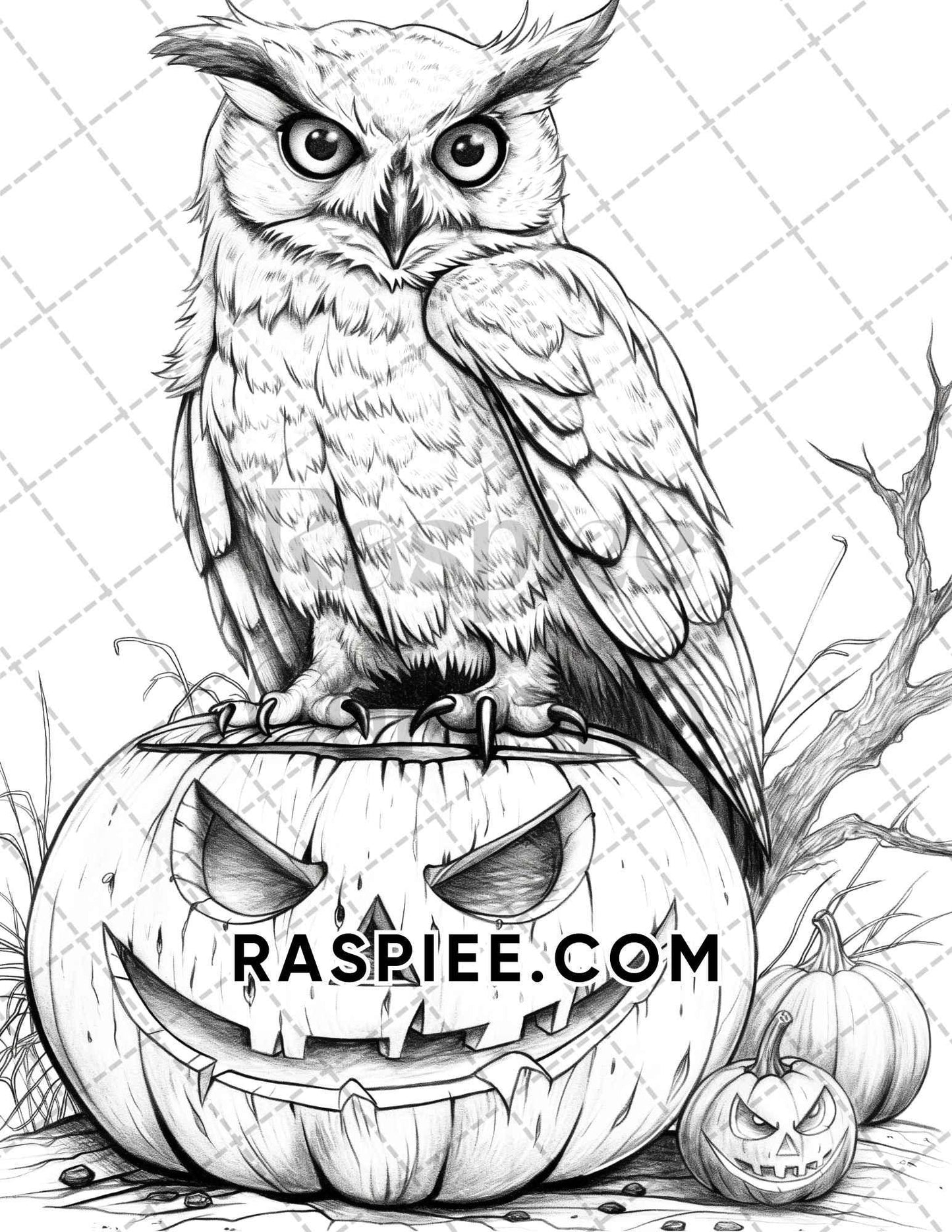Spooky Pumpkin Halloween Adult Coloring Pages Printable PDF Instant Download