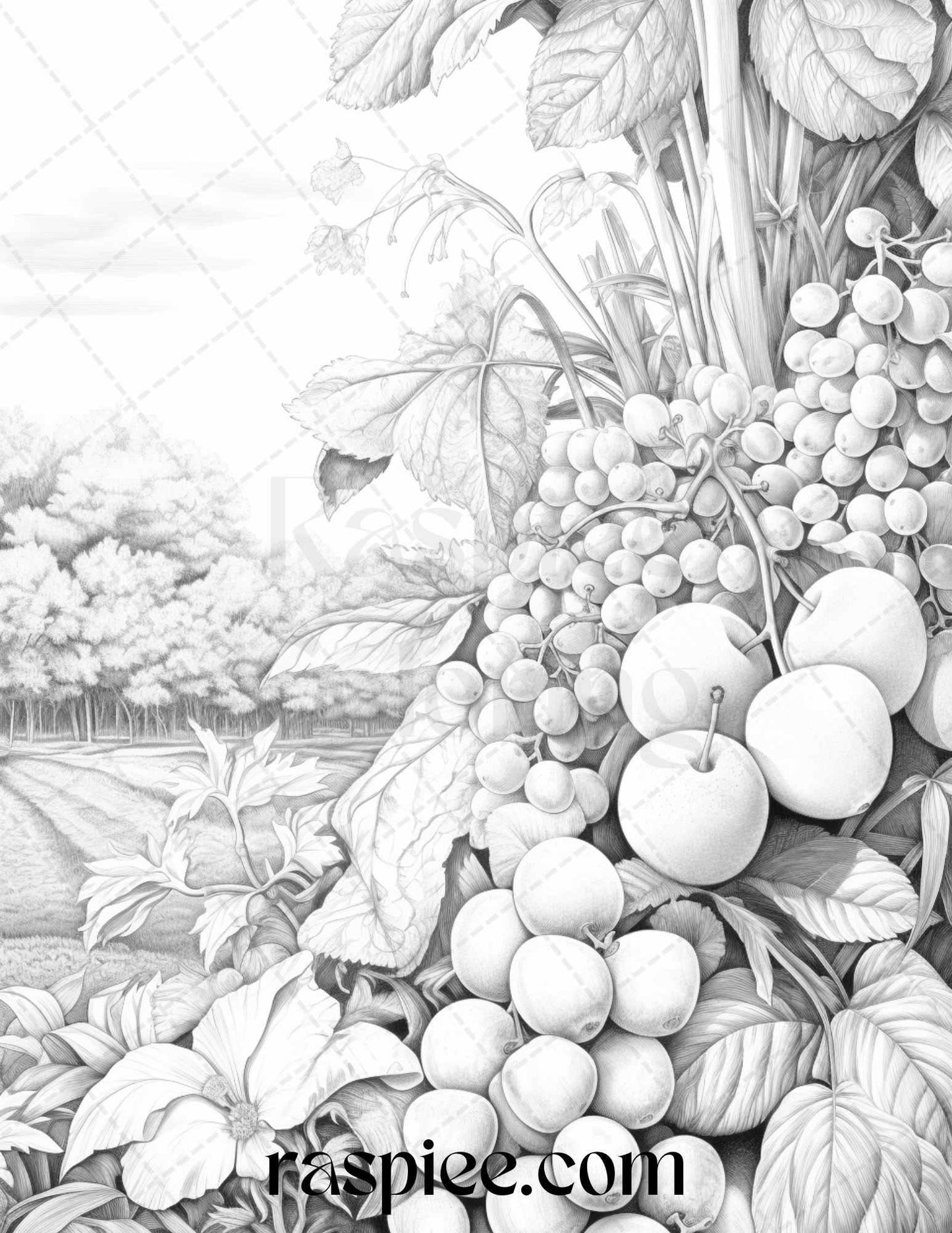 Relaxing Fruit Garden Grayscale Coloring Pages Printable for Adults, PDF File Instant Download