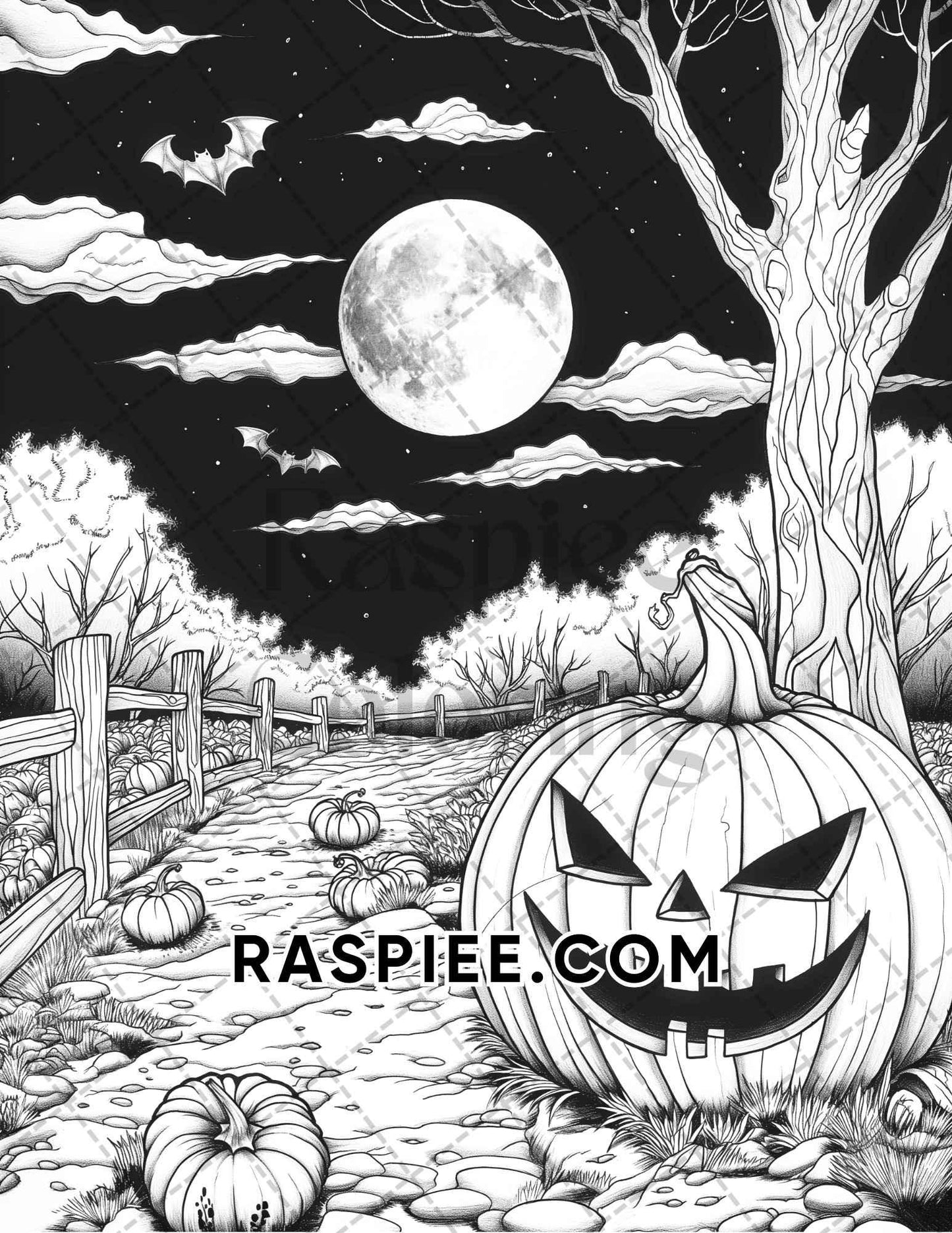 Spooky Pumpkin Halloween Adult Coloring Pages Printable PDF Instant Download