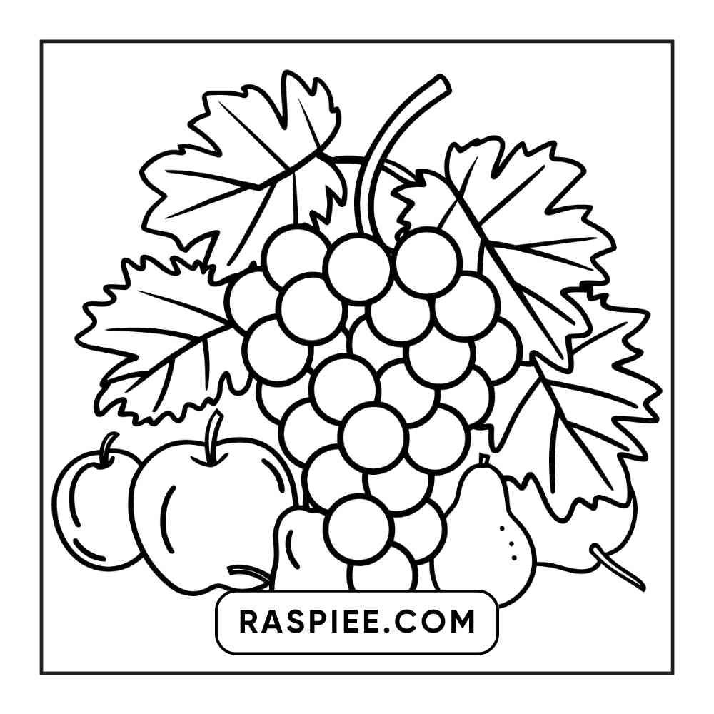 90 Bold and Easy Stress Relief Coloring Pages Printable PDF Instant Download