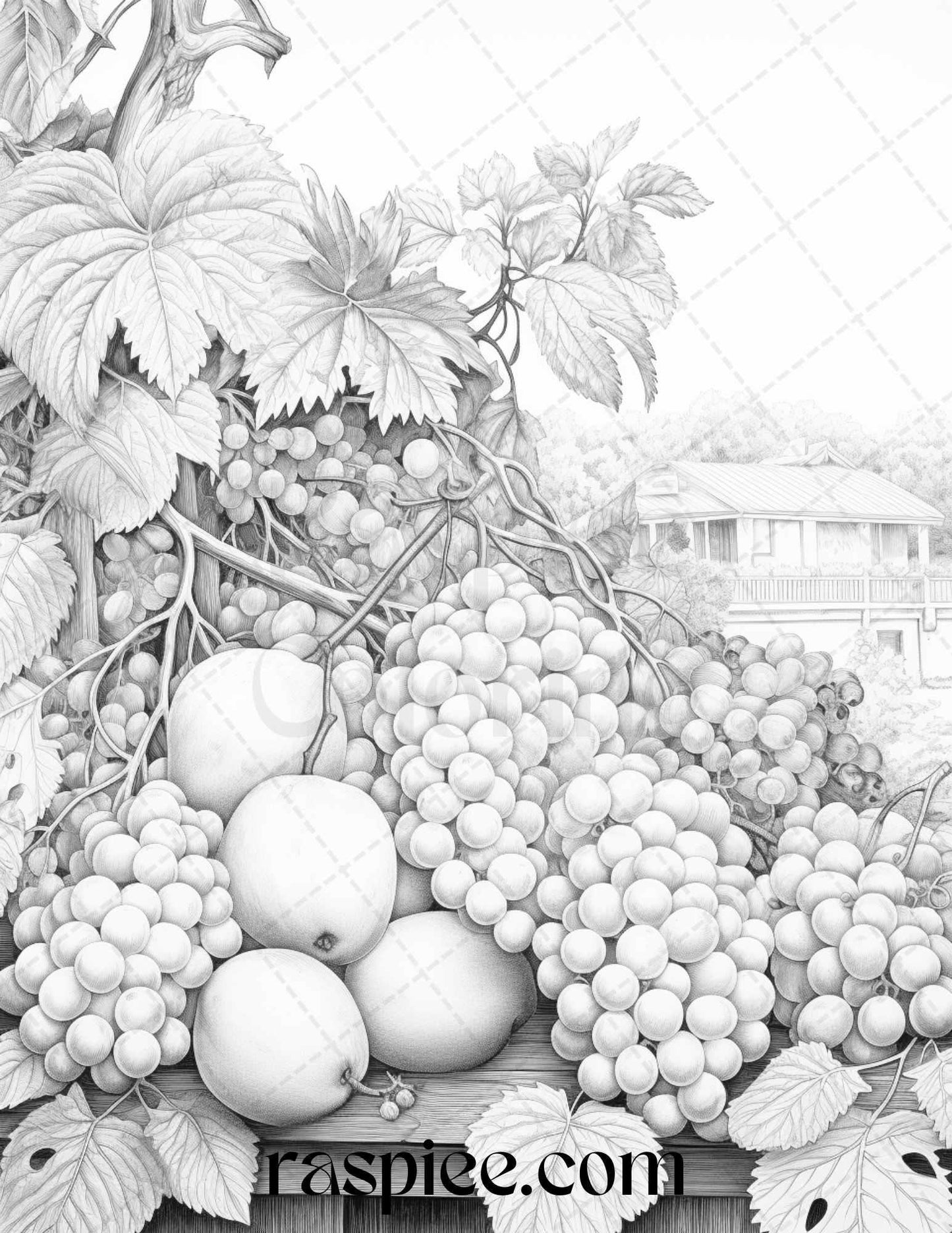 Relaxing Fruit Garden Grayscale Coloring Pages Printable for Adults, PDF File Instant Download
