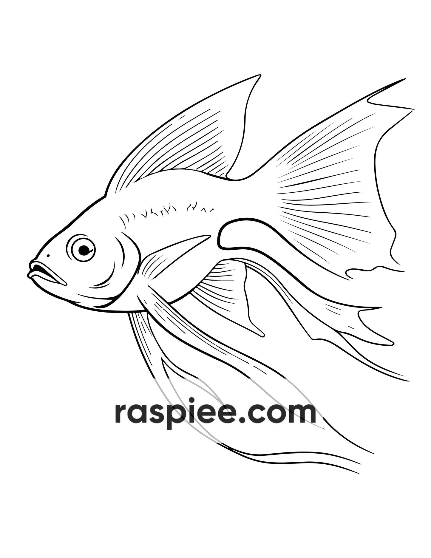 230 Ocean Animal Coloring Pages for Kids, Educational Preschool Printable PDF Instant Download