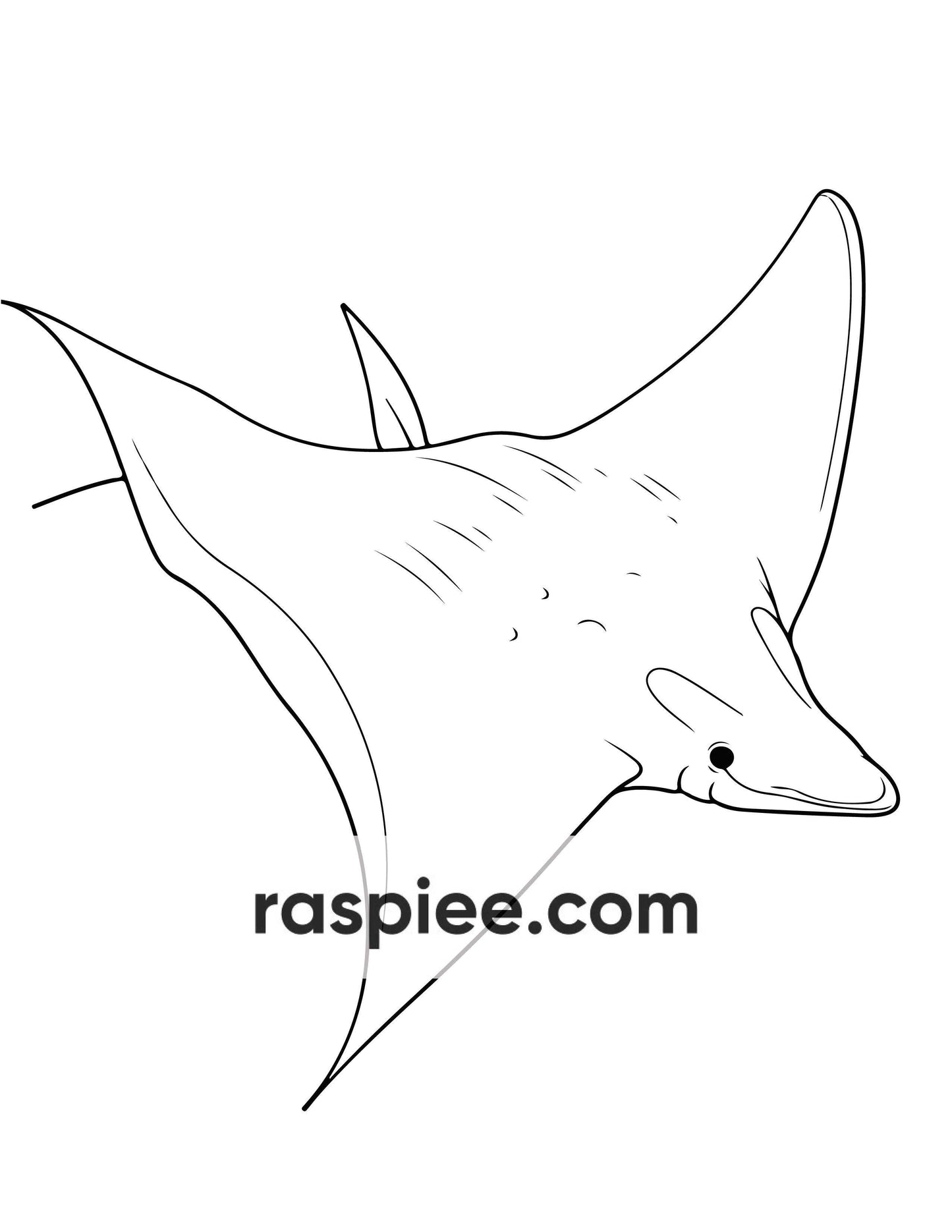 230 Ocean Animal Coloring Pages for Kids, Educational Preschool Printable PDF Instant Download