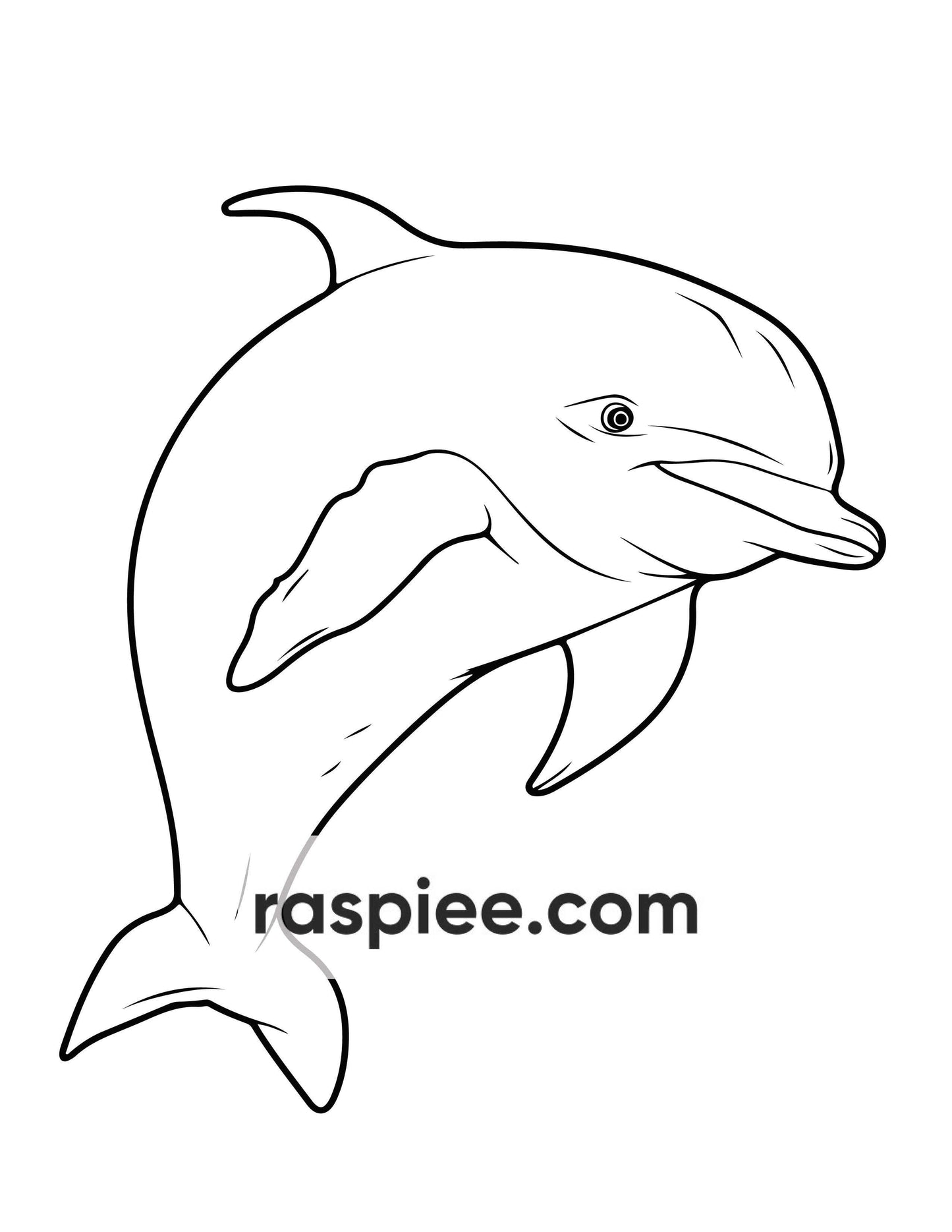 230 Ocean Animal Coloring Pages for Kids, Educational Preschool Printable PDF Instant Download