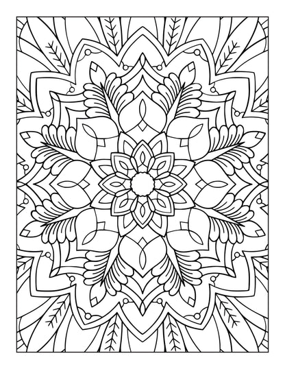 60 Free Mandala Adult Coloring Pages Printable PDF Instant Download