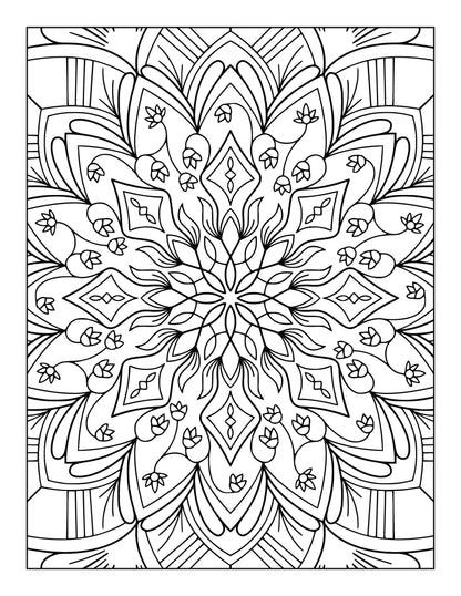 60 Free Mandala Adult Coloring Pages Printable PDF Instant Download