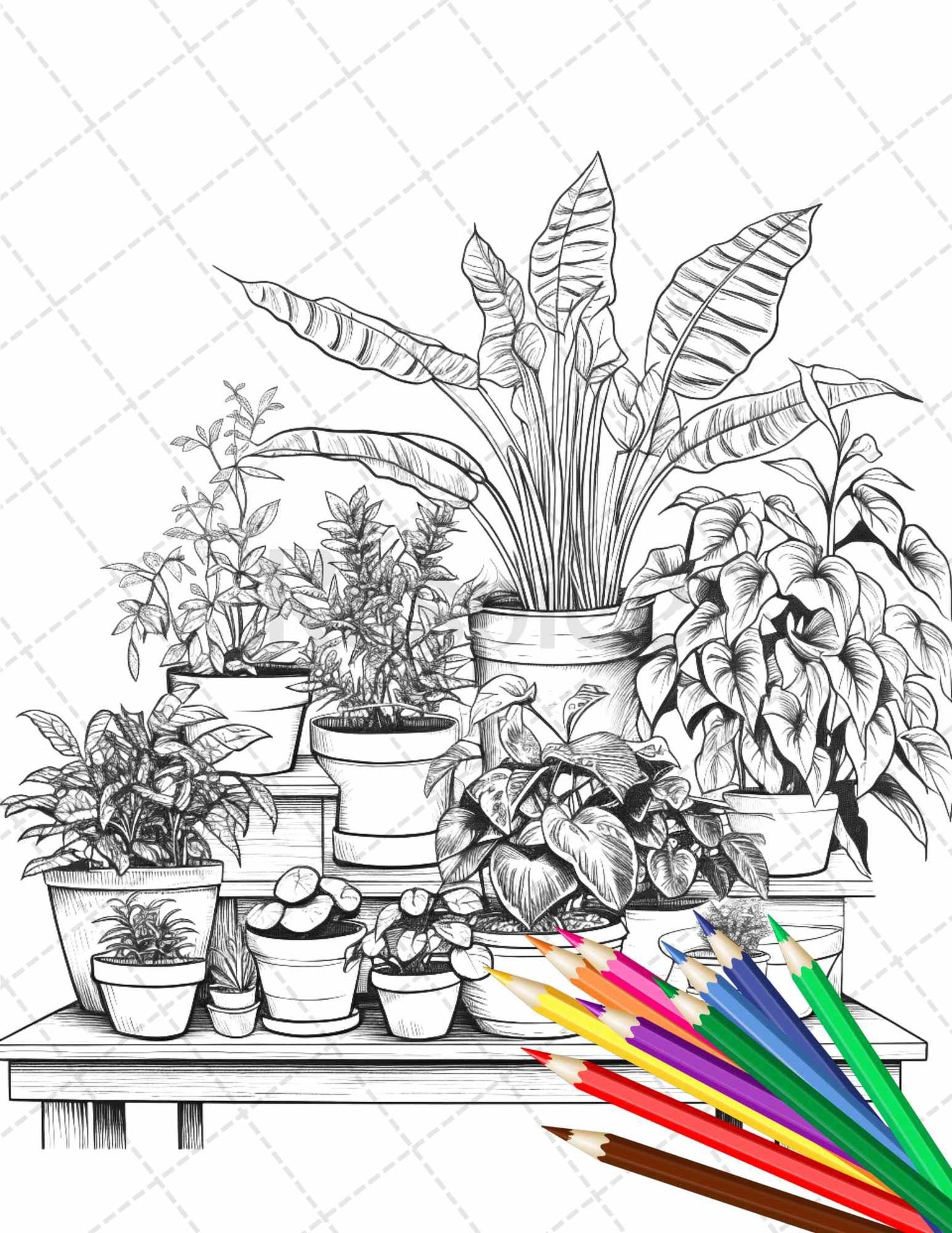 38 Indoor Houseplants Coloring Pages Printable for Adults, Grayscale Coloring Page, PDF File Instant Download