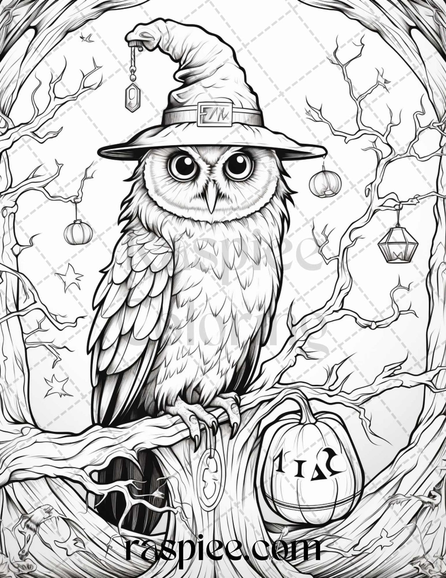 Halloween Witch Owl Grayscale Coloring Pages for Adults and Kids, Printable PDF Instant Download