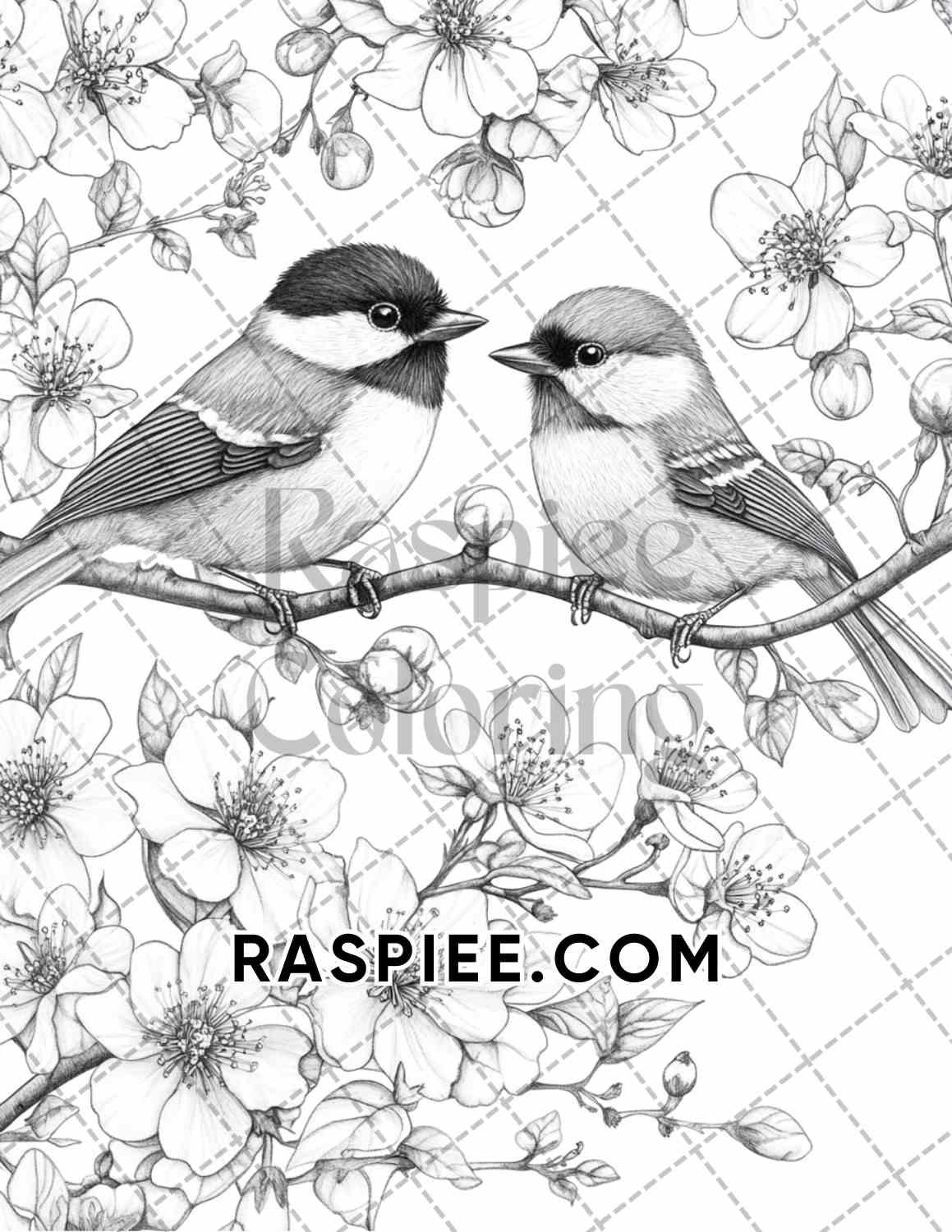 Flowers and Birds Adult Coloring Pages Printable PDF Instant Download