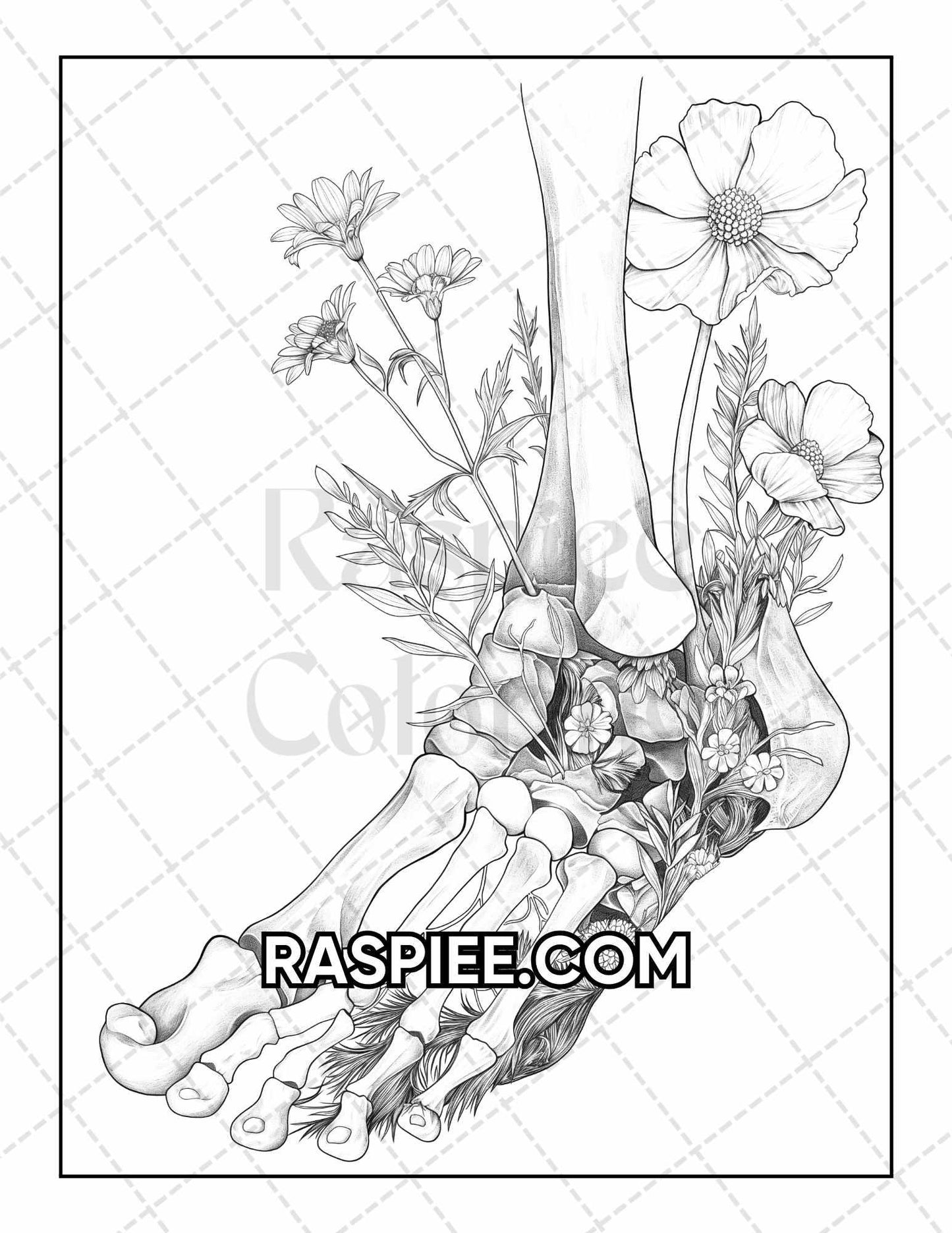 50 Botanical Anatomy Adult Coloring Pages Printable PDF Instant Download