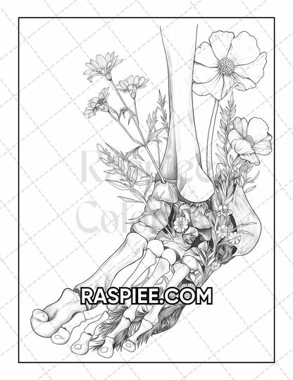 50 Botanical Anatomy Adult Coloring Pages Printable PDF Instant Download
