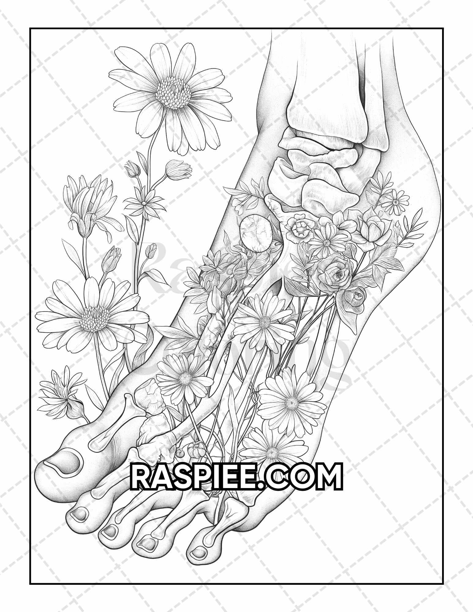 50 Botanical Anatomy Adult Coloring Pages Printable PDF Instant Download