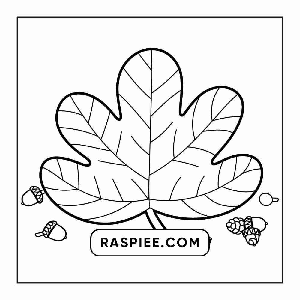 76 Bold and Easy Fall Vibes Coloring Pages Printable PDF Instant Download