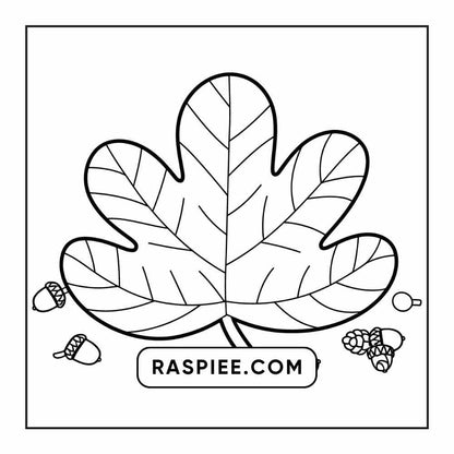 76 Bold and Easy Fall Vibes Coloring Pages Printable PDF Instant Download
