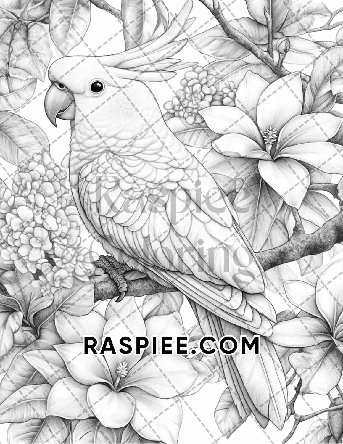 Flowers and Birds Adult Coloring Pages Printable PDF Instant Download