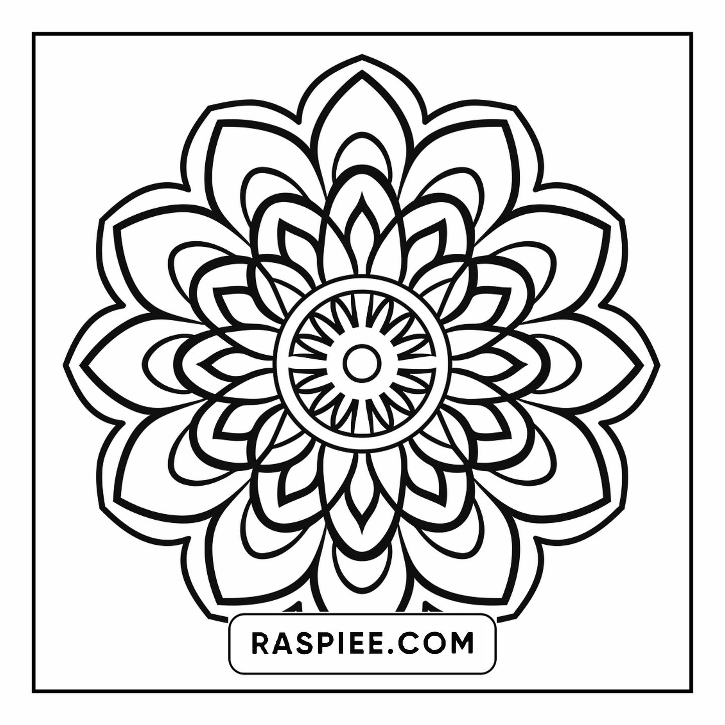 134 Bold and Easy Mandala Coloring Pages