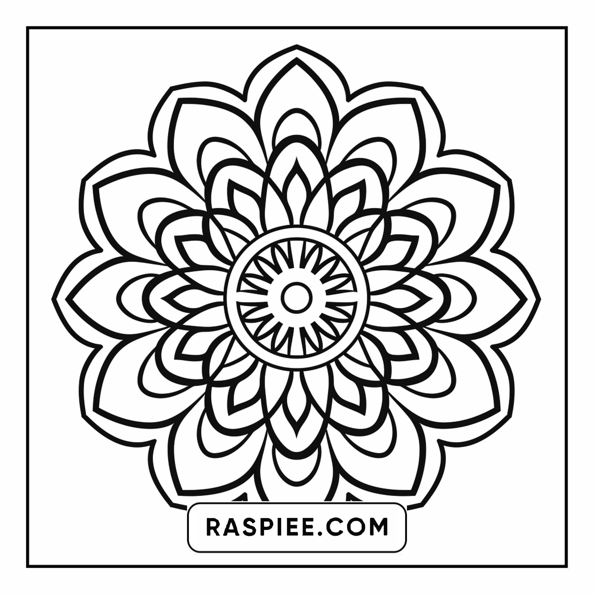 134 Bold and Easy Mandala Coloring Pages