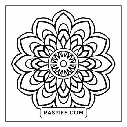 134 Bold and Easy Mandala Coloring Pages