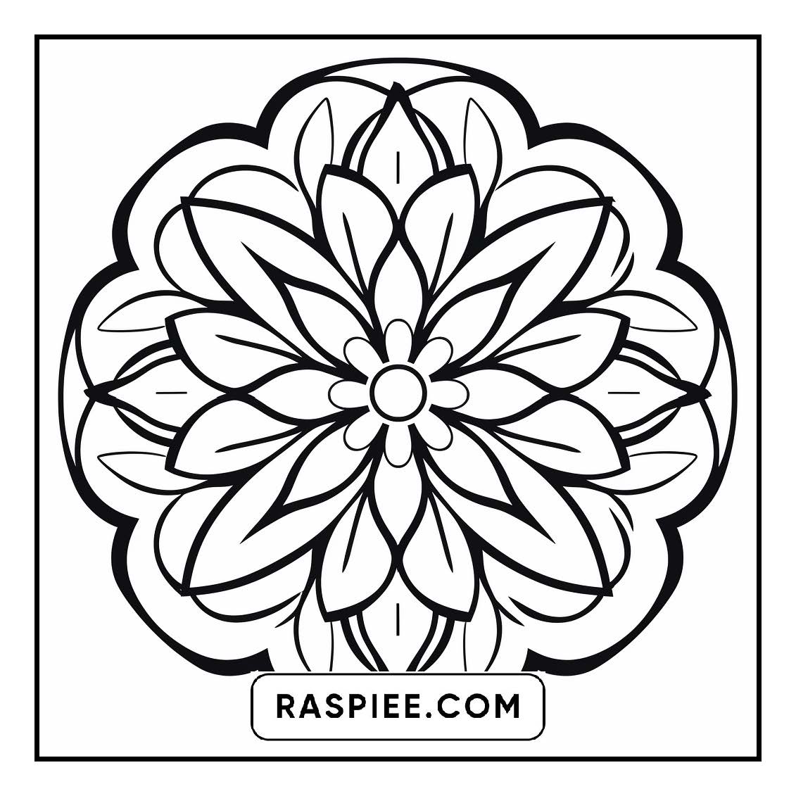 134 Bold and Easy Mandala Coloring Pages