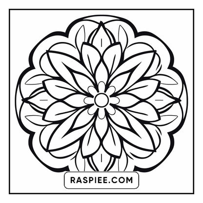 134 Bold and Easy Mandala Coloring Pages