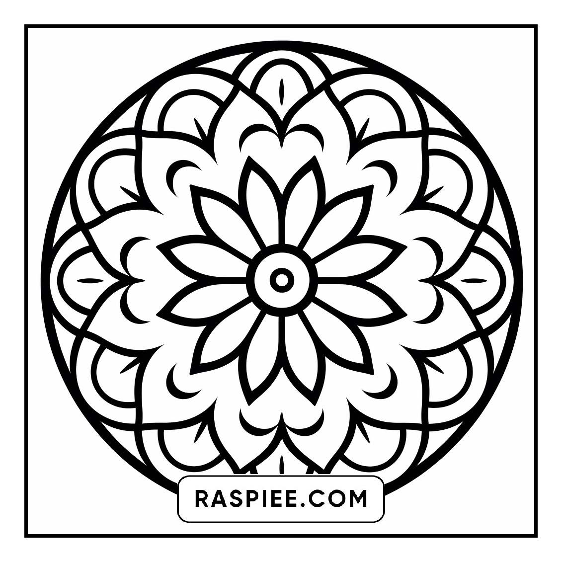 134 Bold and Easy Mandala Coloring Pages
