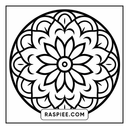134 Bold and Easy Mandala Coloring Pages