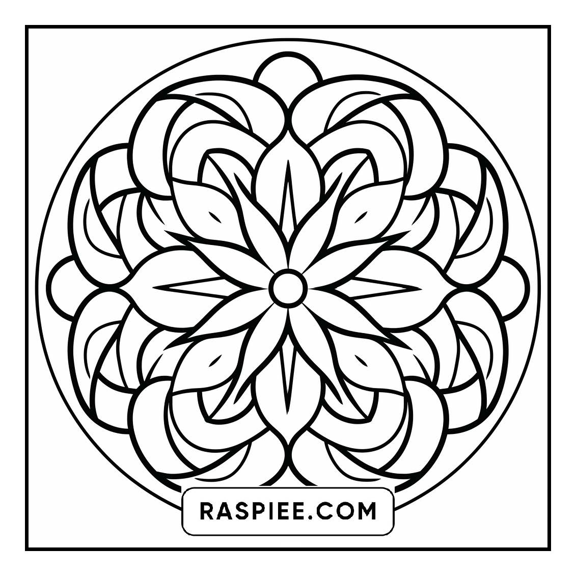 134 Bold and Easy Mandala Coloring Pages