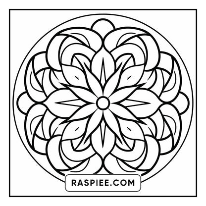 134 Bold and Easy Mandala Coloring Pages