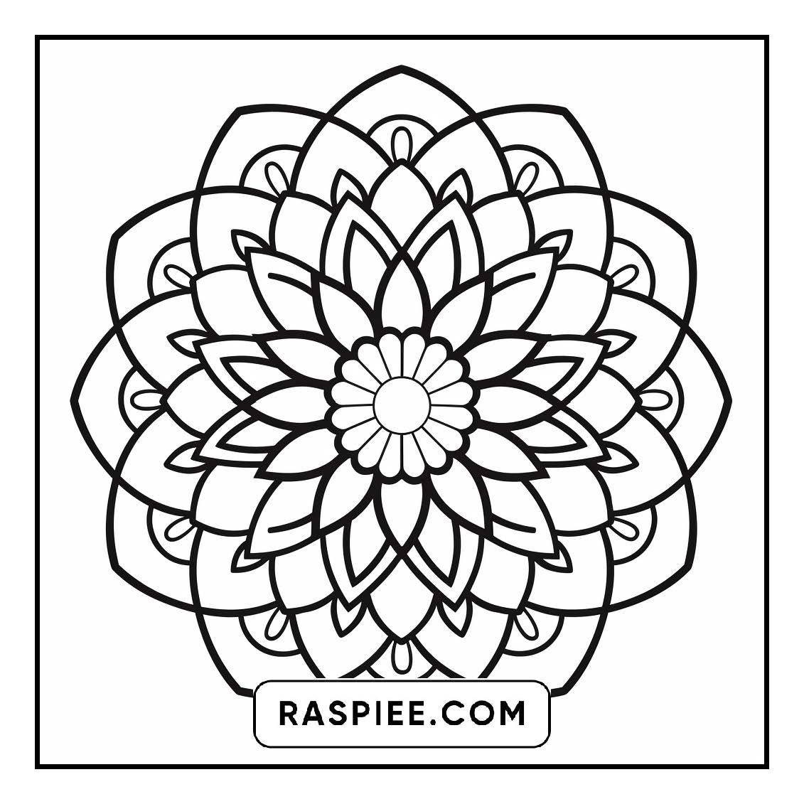 134 Bold and Easy Mandala Coloring Pages