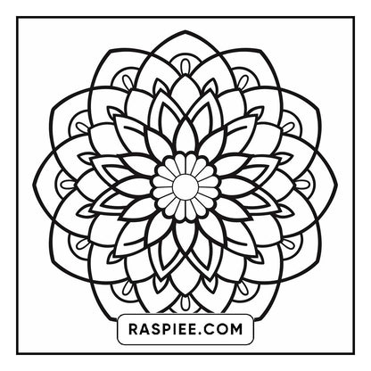 134 Bold and Easy Mandala Coloring Pages