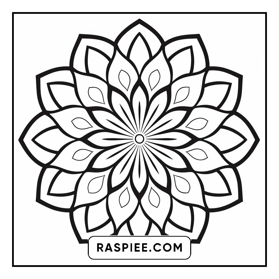 134 Bold and Easy Mandala Coloring Pages