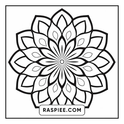 134 Bold and Easy Mandala Coloring Pages