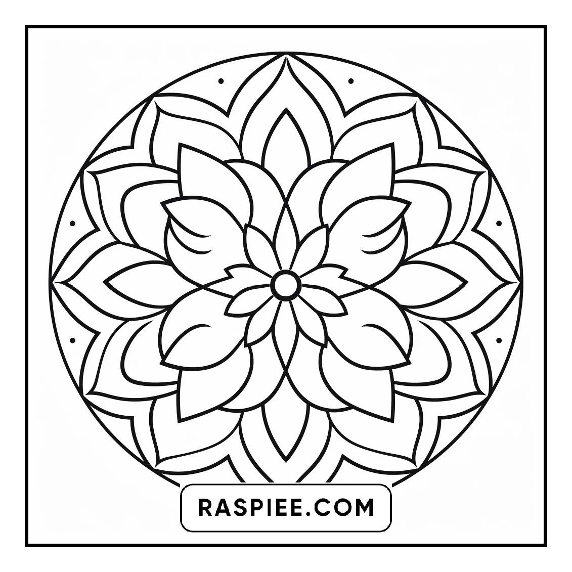 134 Bold and Easy Mandala Coloring Pages