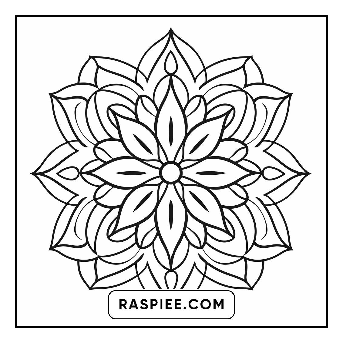 134 Bold and Easy Mandala Coloring Pages