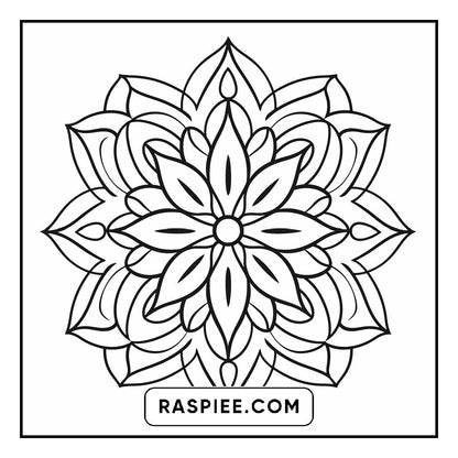 134 Bold and Easy Mandala Coloring Pages