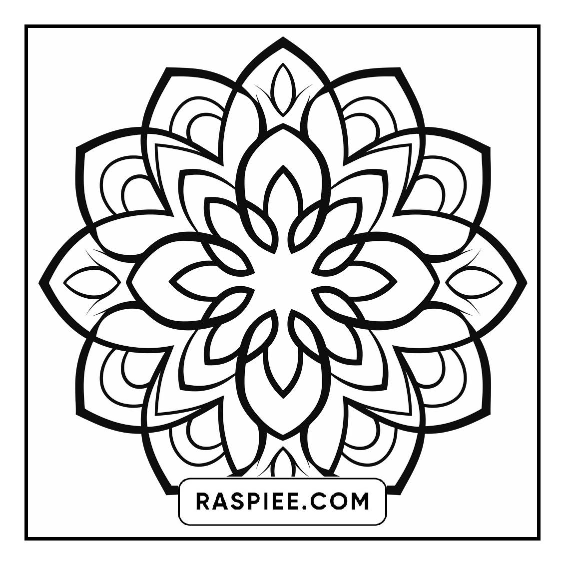 134 Bold and Easy Mandala Coloring Pages