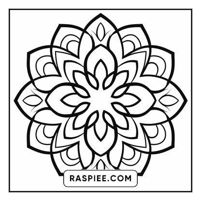 134 Bold and Easy Mandala Coloring Pages