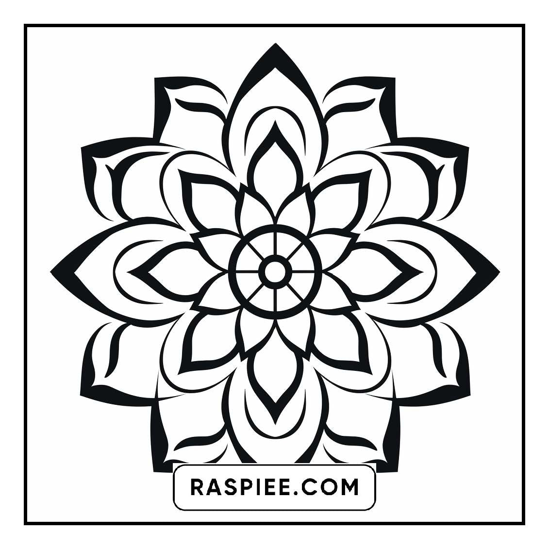 134 Bold and Easy Mandala Coloring Pages