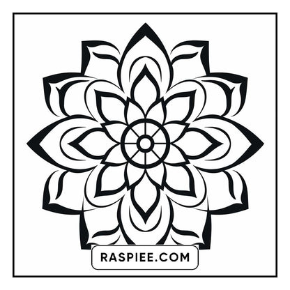 134 Bold and Easy Mandala Coloring Pages