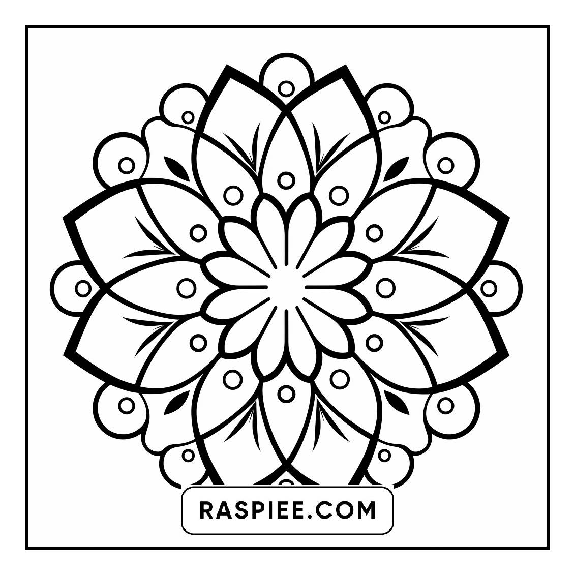 134 Bold and Easy Mandala Coloring Pages