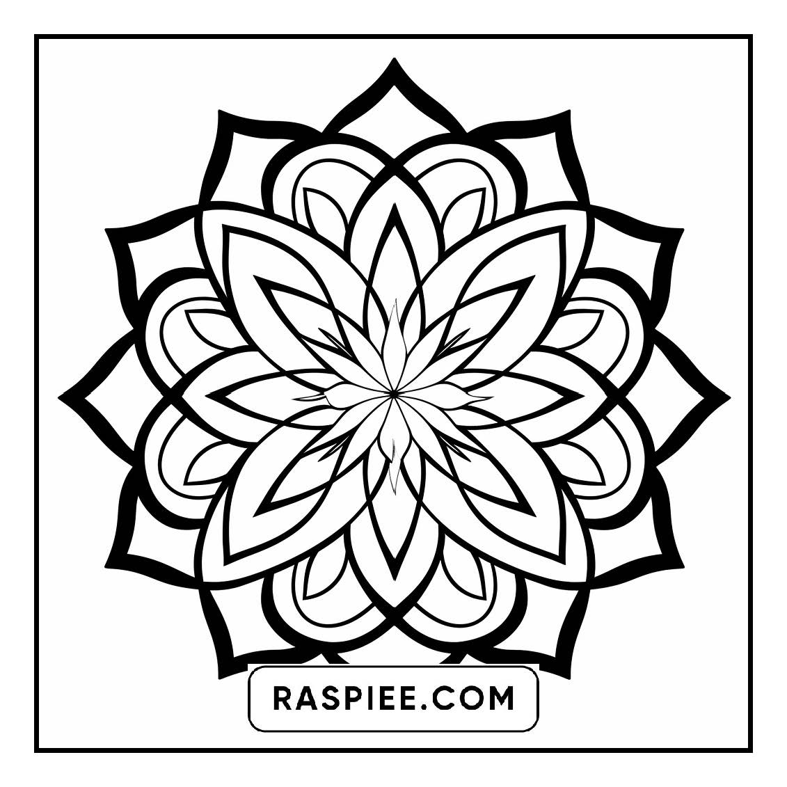 134 Bold and Easy Mandala Coloring Pages
