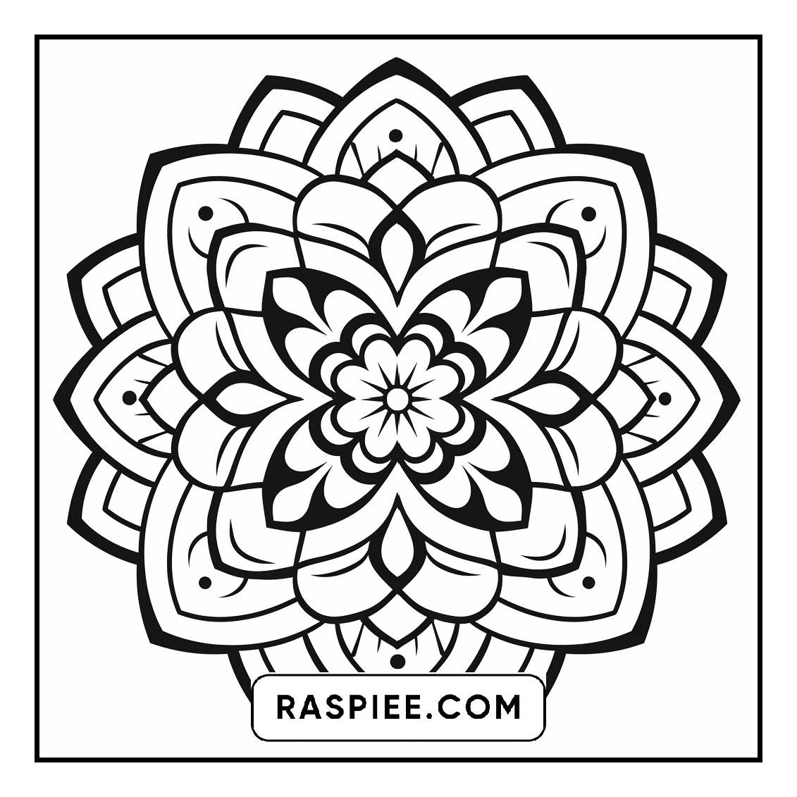 134 Bold and Easy Mandala Coloring Pages