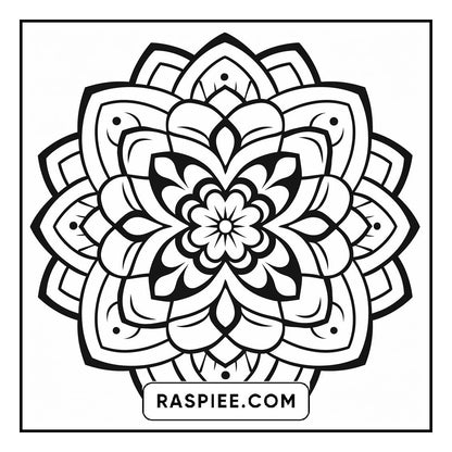 134 Bold and Easy Mandala Coloring Pages