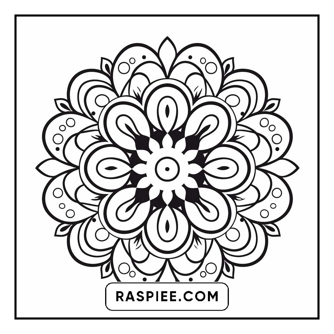 134 Bold and Easy Mandala Coloring Pages