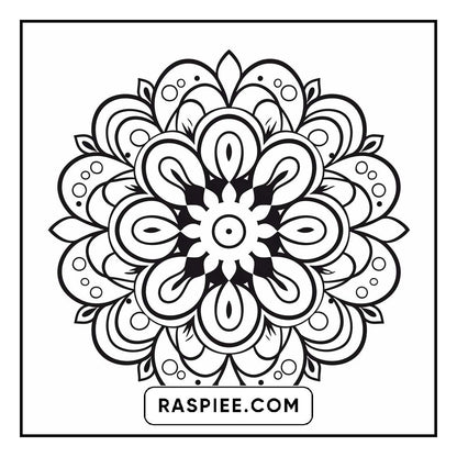 134 Bold and Easy Mandala Coloring Pages