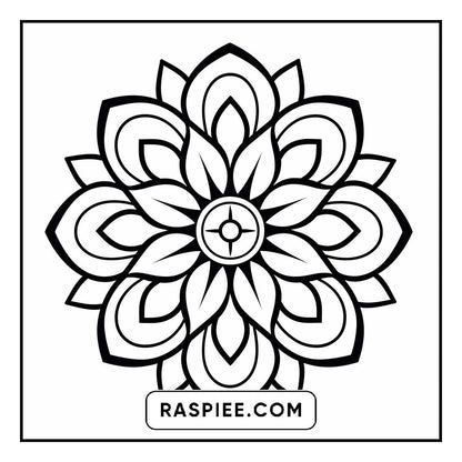 134 Bold and Easy Mandala Coloring Pages